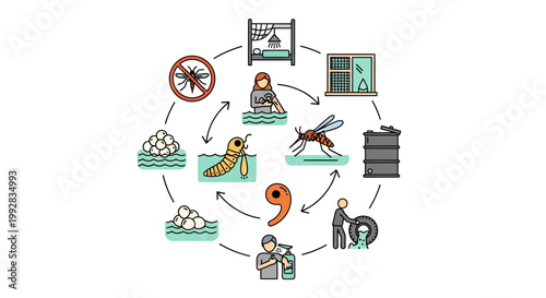 A vector illustration shows the life cycle of a mosquito for a World Malaria Day health poster, detailing mosquito prevention campaign methods against a clean white background