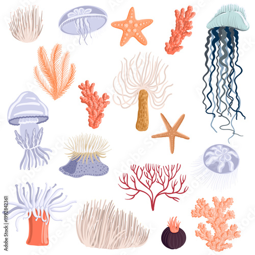 vector drawing set of sea jellies, corals, sea anemones, shells and star, underwater objects, isolated at white background, hand drawn illustration
