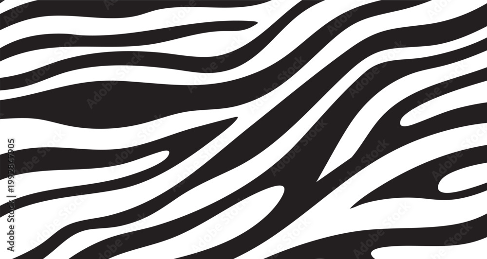 Fototapeta premium Black and white zebra stripes pattern with animal print, wildlife