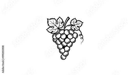 Grape wine logo vector vineyard fruit emblem organic design