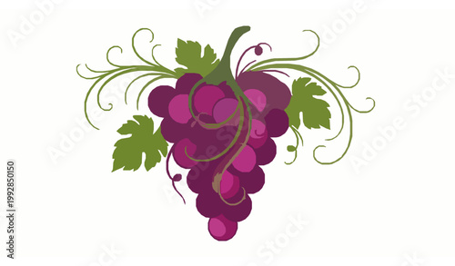 Grape fruit logo vector decorative organic wine symbol design