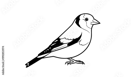 Minimal goldfinch bird outline vector illustration side profile avian line art isolated on white