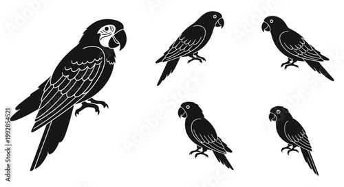 Four black turtle shapes displayed on a white background silhouette