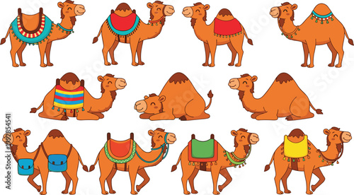 Cartoon Camel Vector Set Featuring Different Poses with Colorful Saddles and Blankets for Desert Theme, Travel Illustration, Kids Design, and Animal Character Collection