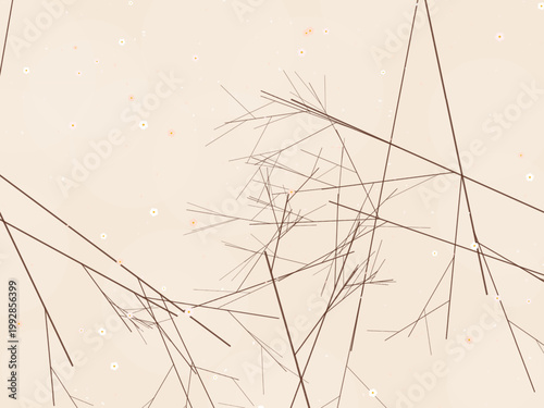 Japanese Sakura Cherry Tree Pattern Background