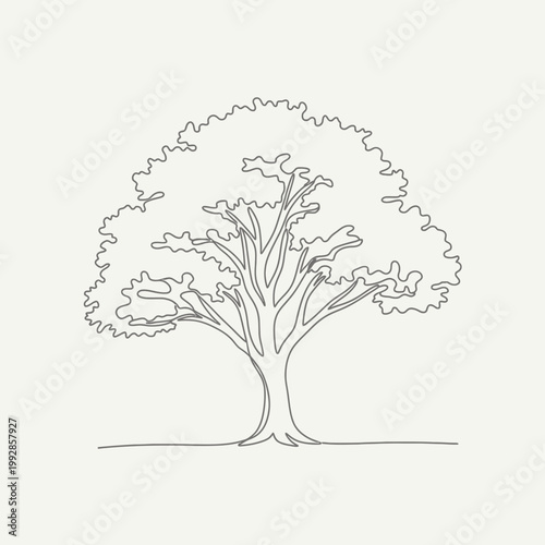 Minimalist single line drawing of a large oak tree with full canopy and visible branches