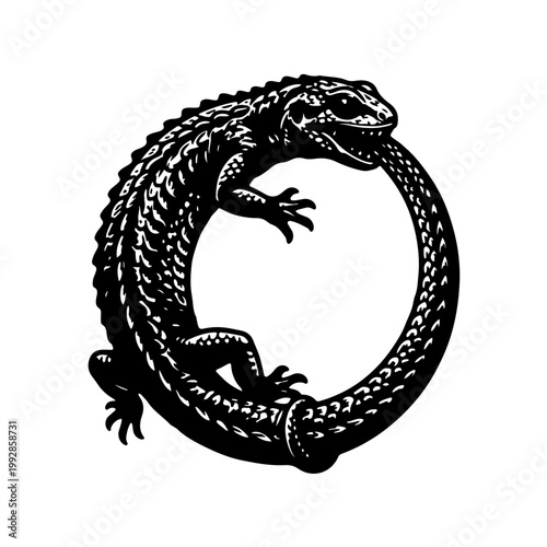 black and white adaptation of the ancient alchemy symbol featuring a salamander consuming its own tail, symbolizing eternal renewal and transformation. Clean vector line art style.
 