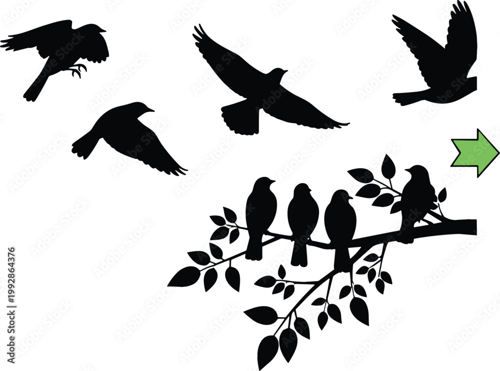 Fototapeta premium Bird silhouettes collection flying and perched on branch isolated black shapes wildlife nature vector illustration design elements set