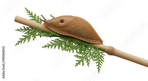 Brown slug crawling on a thin bamboo stick with green foliage, isolated on white background