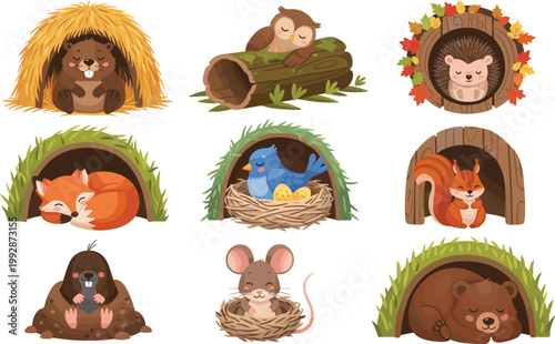 Cute Forest Animal Homes Vector Set Featuring Bear, Fox, Owl, Mouse, Monkey in Nests, Burrows, and Tree Shelters for Kids Illustration and Nature Design