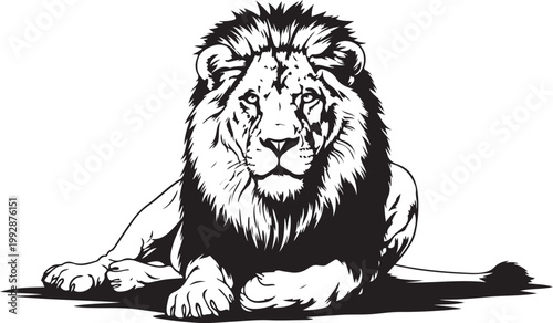 Lion, majestic lion, black and white vector, animal illustration, wildlife art