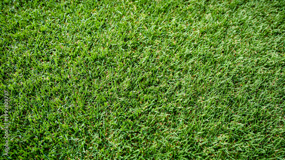 Fototapeta premium Artificial Green Grass Seamless Texture Background