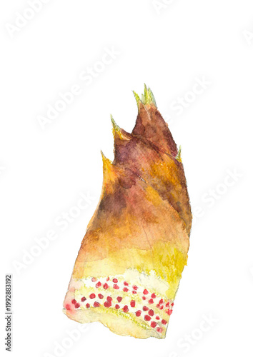 水彩で描いたタケノコのイラスト素材【手描き】白バック コピースペースあり透過背景