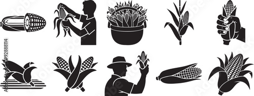 Corn collection silhouette vector illustration with food and drink staple food agriculture silhouette illustration vegetable sweetcorn countryside silhouette vector illustration