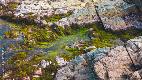 Photography April 19 2026 the Port Shelter Intertidal Rocky Shore
