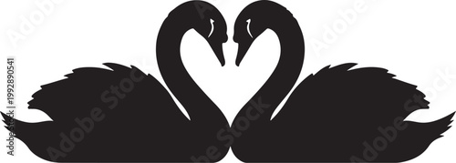 Black swan couple, heart shape, love birds, romantic symbol, vector icon