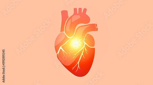 A glowing heart with veins and arteries is depicted in a medical illustration.