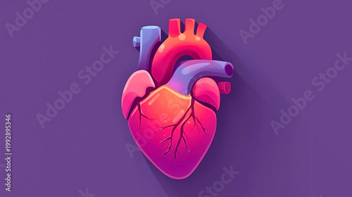 A detailed illustration of a human heart with vessels on a purple background in a medical context