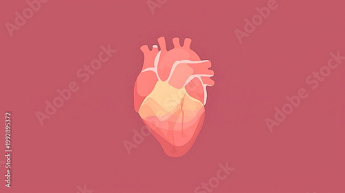 Anatomical illustration of a human heart with a medical mask on, viewed from the front, in a healthcare setting, representing a person with a protected cardiovascular system.