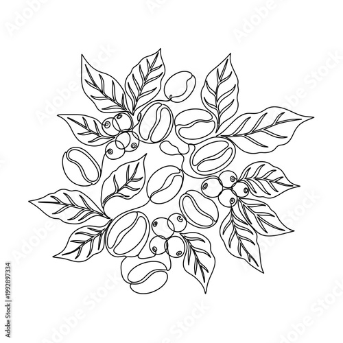Coffee Plant Mandala Outline: Beans, Leaves, and Berries