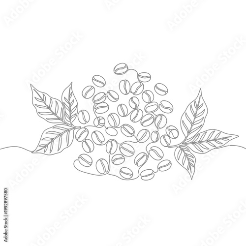 Continuous line drawing of coffee beans and leaves, minimalist illustration on white background.