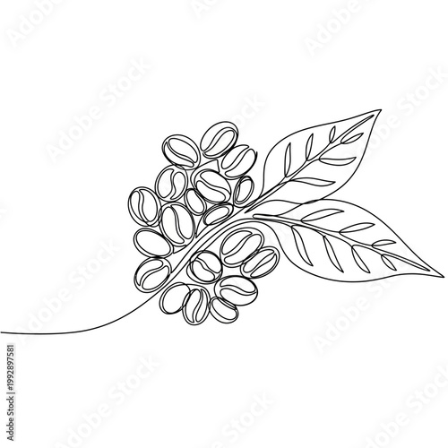 Continuous Line Drawing of Coffee Beans and Leaves