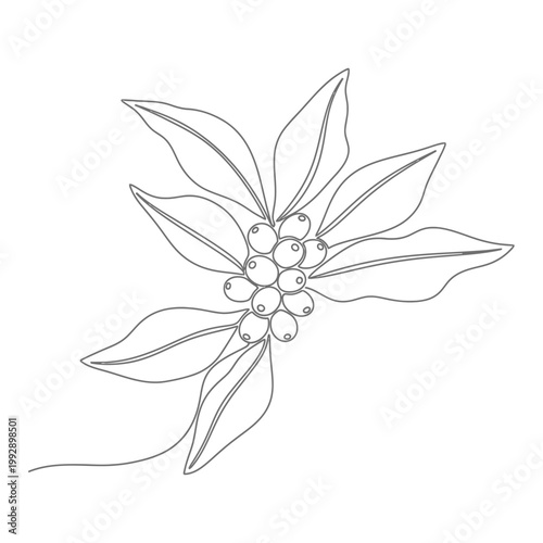 Minimalist coffee branch with berries and leaves, continuous line drawing