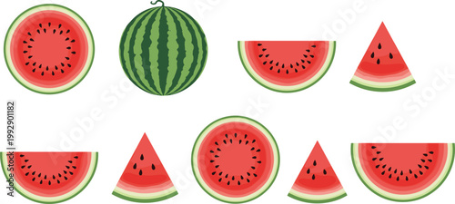 Fresh Watermelon Whole and Sliced in Different Views Vector Illustration for Healthy Food, Organic Fruit, and Summer Designs