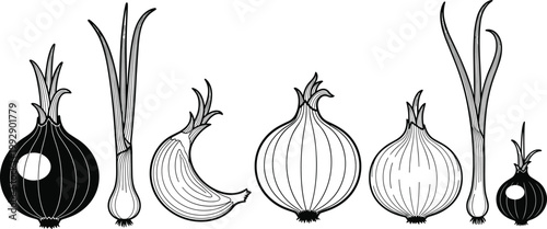 Hand-Drawn Black and White Onion Icons with Different Views for Healthy Food, Organic Vegetables, and Culinary Designs