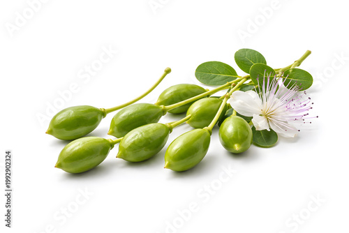 Fresh Caperberries with Flower and Leaves Isolated on White Background