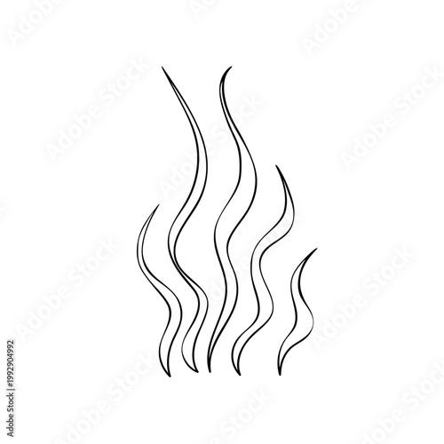 Sketch of Seaweed. Vector outline algae illustration of the underwater world painted by black inks. Hand drawn Graphic line art of sea life. Underwater plants in outline style for sea or kids design