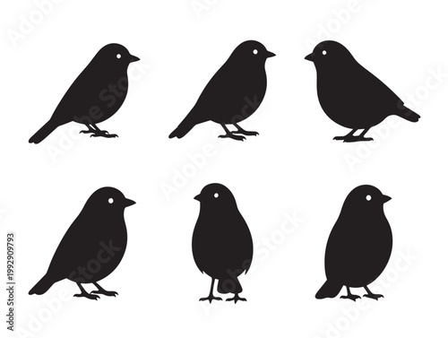 set of six black bird silhouettes flat design vector illustration