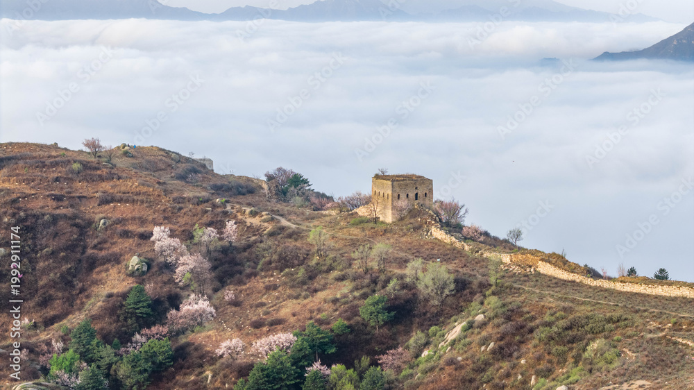 Fototapeta premium Mountain peak emerging above a sea of clouds, minimal and tranquil landscape in soft mist, aerial view.