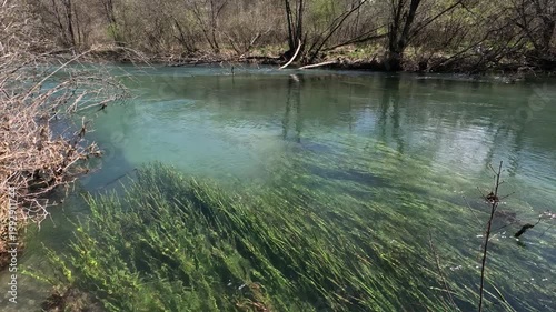 Crystal clear waters of Slunjcica river in Croatia
