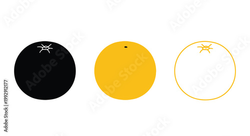 Three oranges in varying stages of illustration from solid to outline