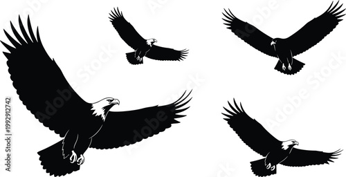 Eagle silhouette collection featuring flying birds of prey in dynamic wing positions isolated on white background for wildlife, nature, and logo design use