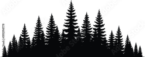 Silhouette illustration of dense evergreen forest with pine and fir trees, showcasing natural symmetry, wilderness, and outdoor landscape design visuals.