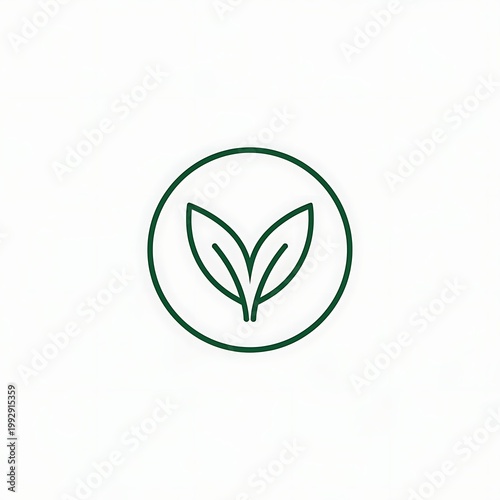 Eco friendly leaf logo design element.