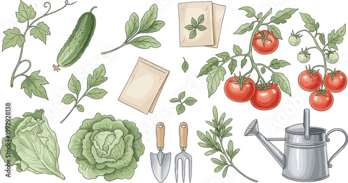 Home Gardening Vegetable Collection Vector Illustration Featuring Tomato Plant Cucumber Lettuce Seeds Tools and Watering Can in Hand Drawn Style
