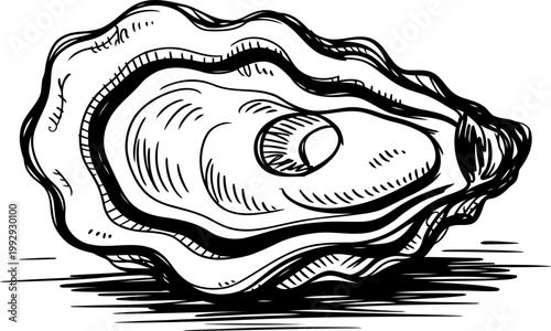 Detailed black and white oyster shell with pearl inside, vintage hand drawn seafood illustration, marine crustacean with textured shell
