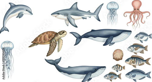 фотографія Ocean Marine Animal Collection Vector Illustration Featuring Whale Shark Dolphin