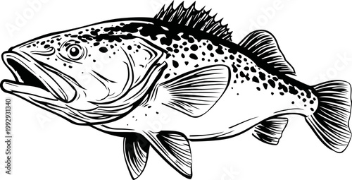 Black and white illustration of a spotted fish with prominent fins and detailed scales, marine aquatic wildlife design