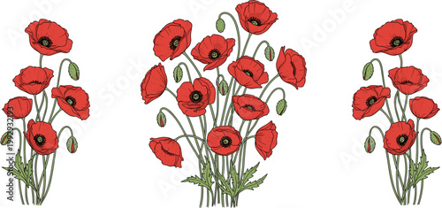 Fotografija Red poppy flower bouquets vector set, multiple arrangements of blooming wildflow