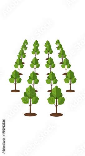 Vector illustration of neatly planted green trees in rows, symbolizing nature and growth. Vector trees arranged in orderly fashion for environmental concepts.