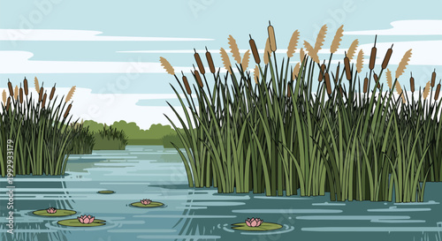 Serene Lake Landscape Illustration with Bulrushes Cattails and Pink Water Lilies on Pond Water Background