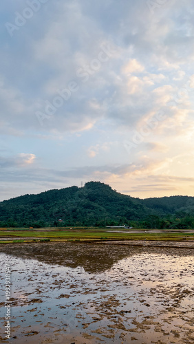 Wetland Rice Field Reflection with Hills and Cloudy Sky