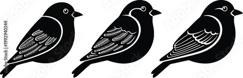 Three black silhouette birds with white feather details on white background