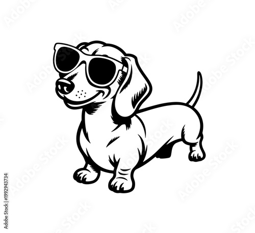 A dachshund dog wearing black glasses