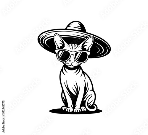 Cute stylish funny sphinx cat wear sunglasses