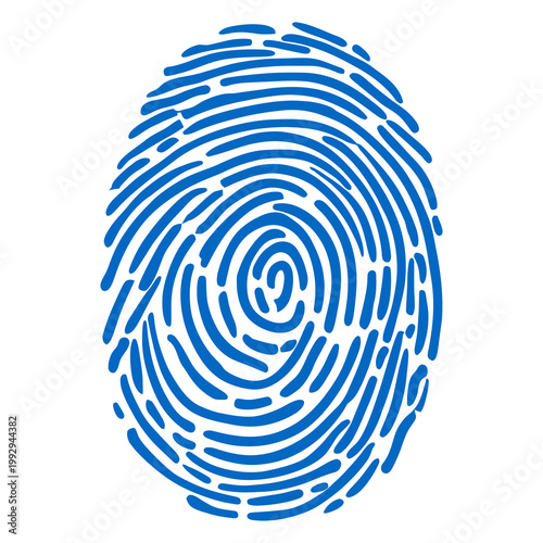Detailed fingerprint illustration representing biometric identification, security systems, authentication technology, and personal identity verification concepts.